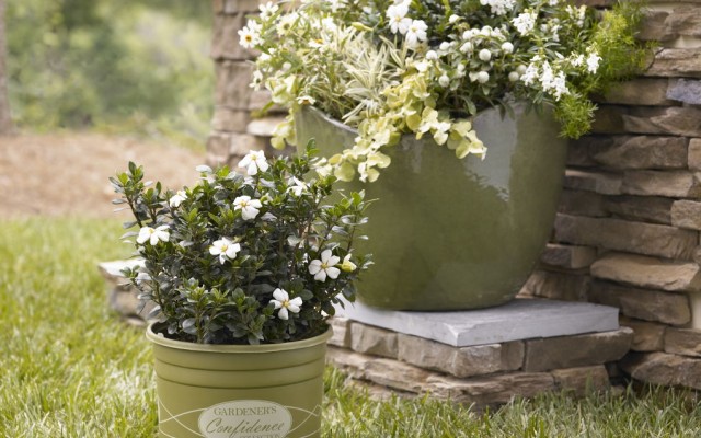 Gardener’s Confidence Collection